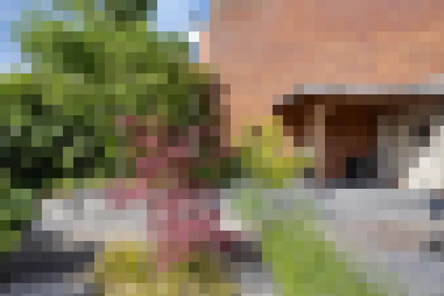 Kavelpad 4 Alphen aan den Rijn thumbnail 56