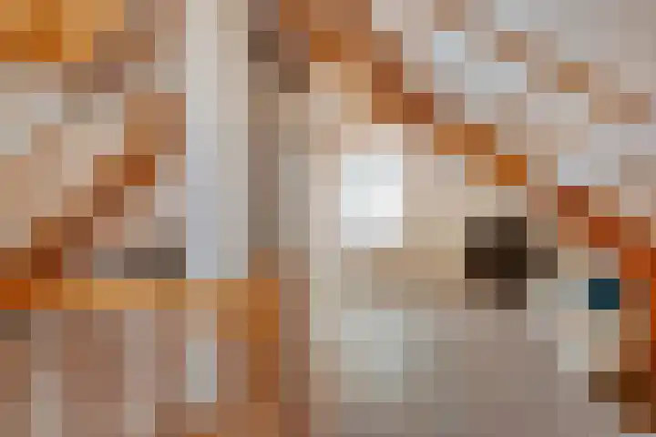 Kavelwei 17 Broeksterwâld thumbnail 25