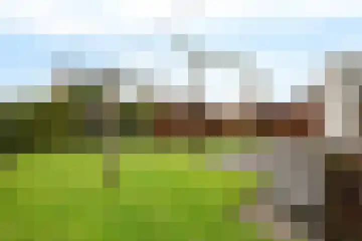 Kavelwei 17 Broeksterwâld thumbnail 32
