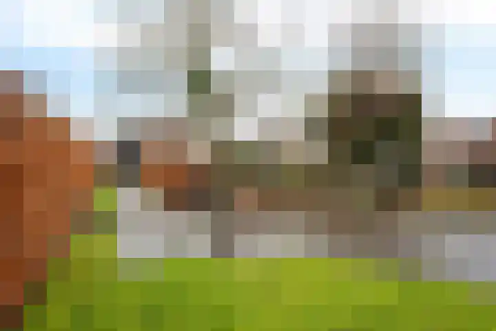 Kavelwei 17 Broeksterwâld thumbnail 34