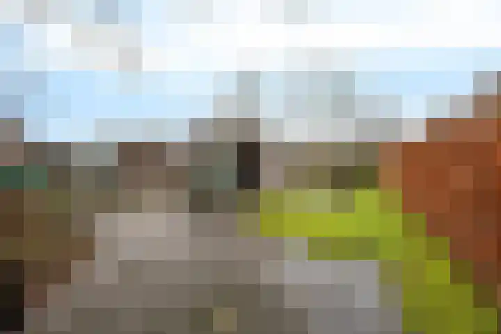 Kavelwei 17 Broeksterwâld thumbnail 35