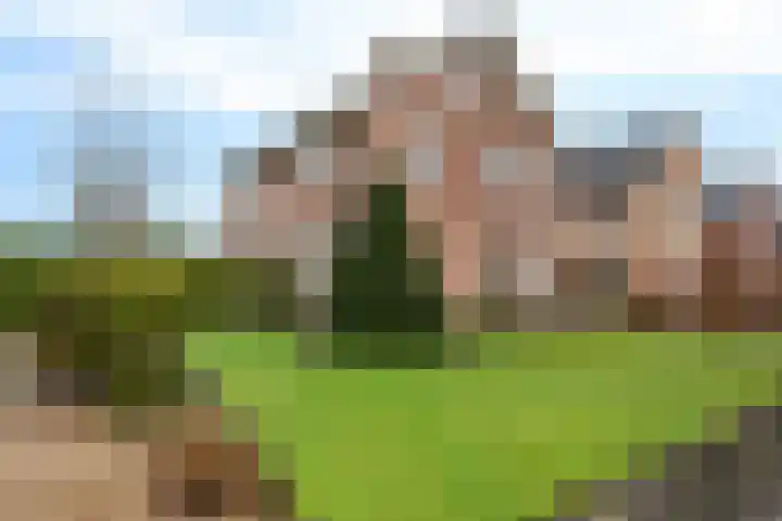 Kavelwei 17 Broeksterwâld thumbnail 5