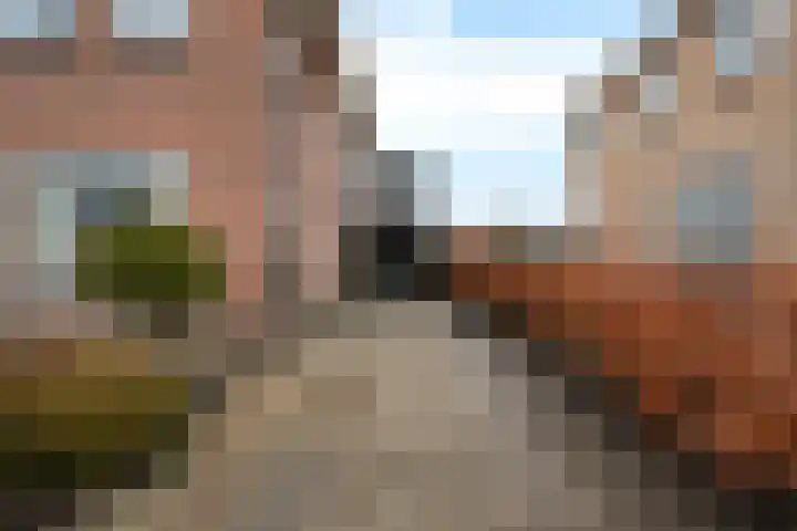 Kavelwei 17 Broeksterwâld thumbnail 6