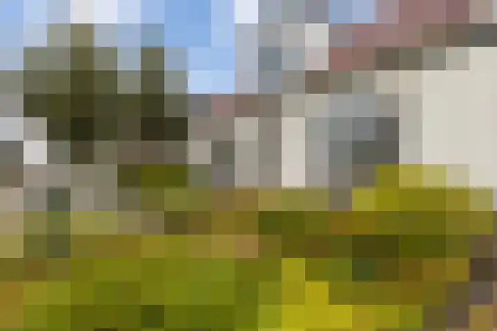 Kavelwei 22 Broeksterwâld thumbnail 10