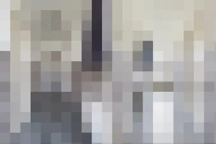 Kavelwei 22 Broeksterwâld thumbnail 13