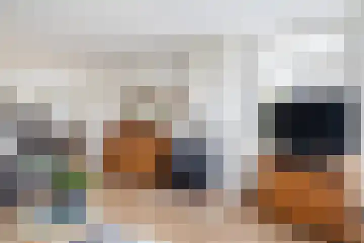 Kavelwei 22 Broeksterwâld thumbnail 24