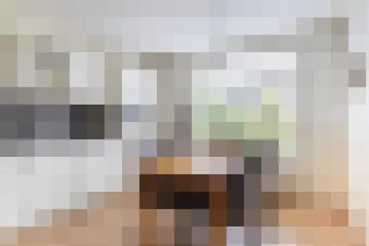 Kavelwei 22 Broeksterwâld thumbnail 27