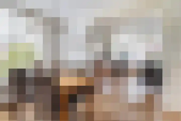Kavelwei 22 Broeksterwâld thumbnail 28