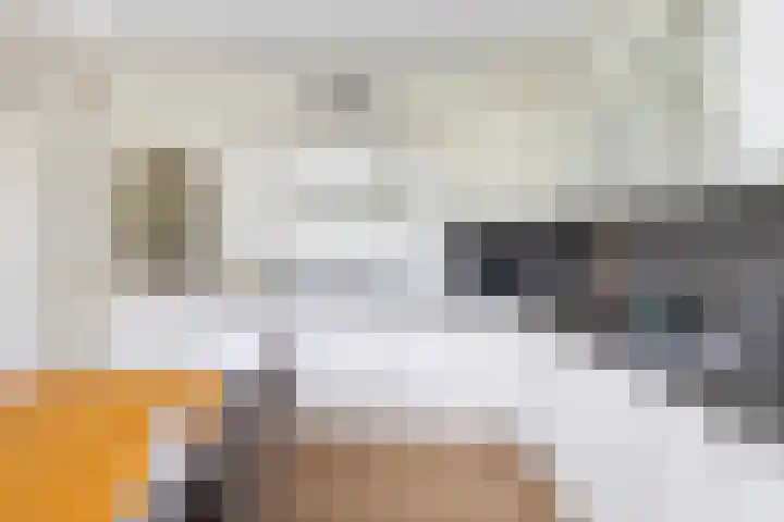 Kavelwei 22 Broeksterwâld thumbnail 30