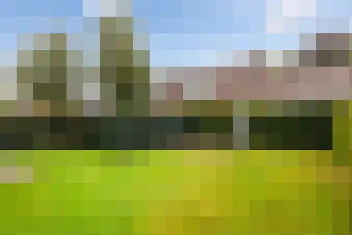 Kavelwei 22 Broeksterwâld thumbnail 34