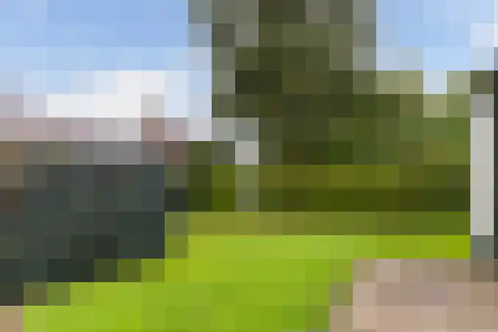 Kavelwei 22 Broeksterwâld thumbnail 36