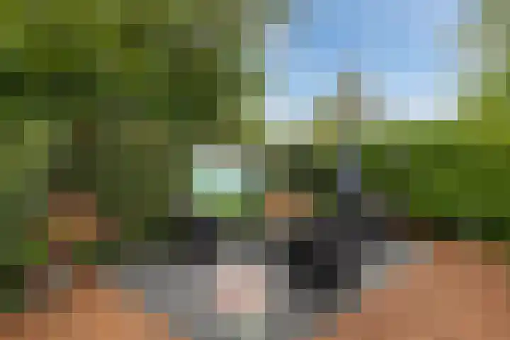 Kavelwei 22 Broeksterwâld thumbnail 37