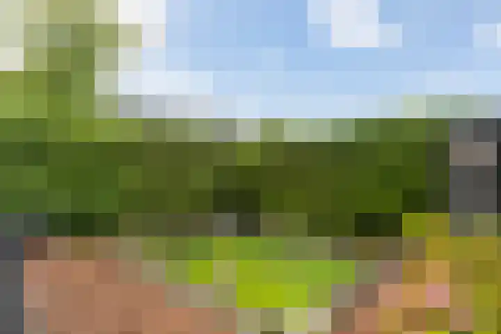Kavelwei 22 Broeksterwâld thumbnail 38