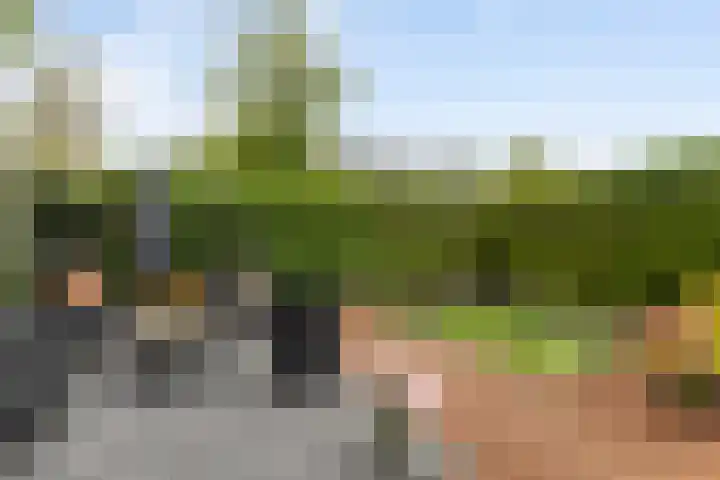 Kavelwei 22 Broeksterwâld thumbnail 40
