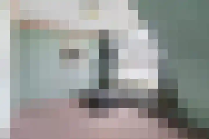 Kavelwei 22 Broeksterwâld thumbnail 60