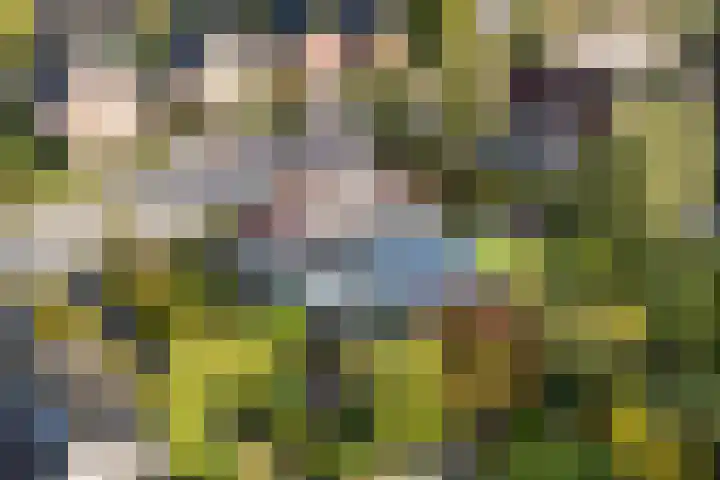 Kavelwei 22 Broeksterwâld thumbnail 63