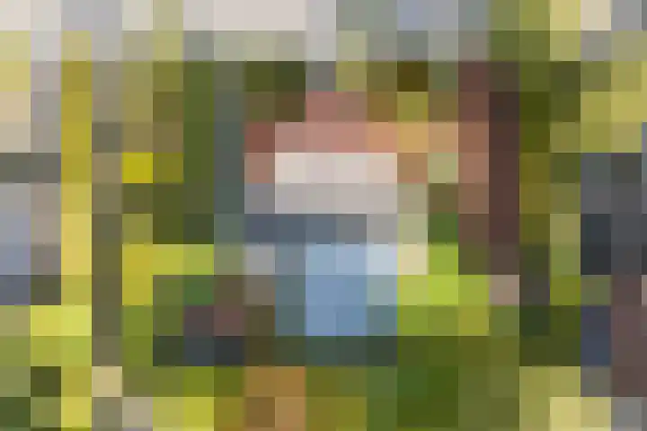 Kavelwei 22 Broeksterwâld thumbnail 64