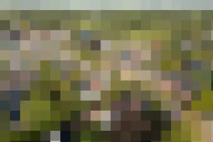 Kavelwei 22 Broeksterwâld thumbnail 65