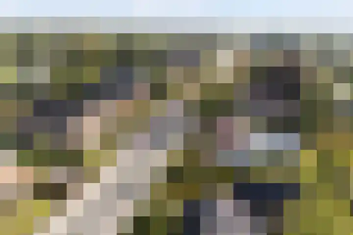 Kavelwei 22 Broeksterwâld thumbnail 66