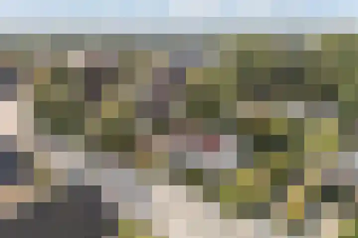 Kavelwei 22 Broeksterwâld thumbnail 67