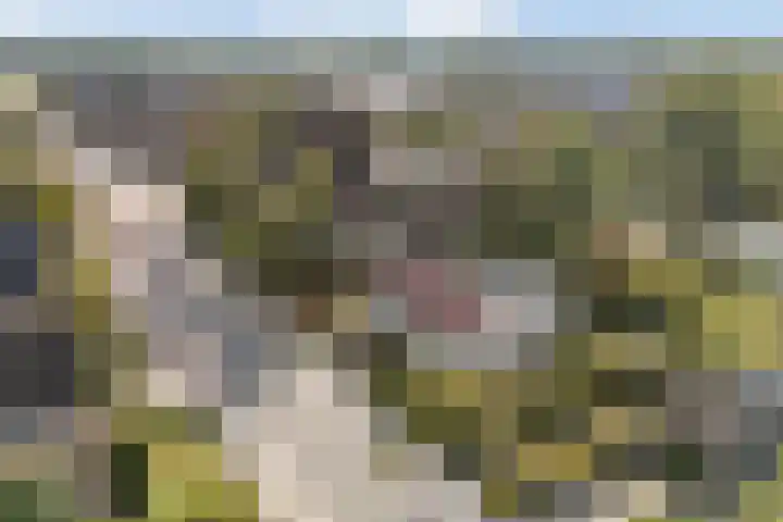 Kavelwei 22 Broeksterwâld thumbnail 68