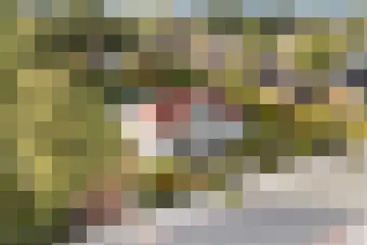 Kavelwei 22 Broeksterwâld thumbnail 69