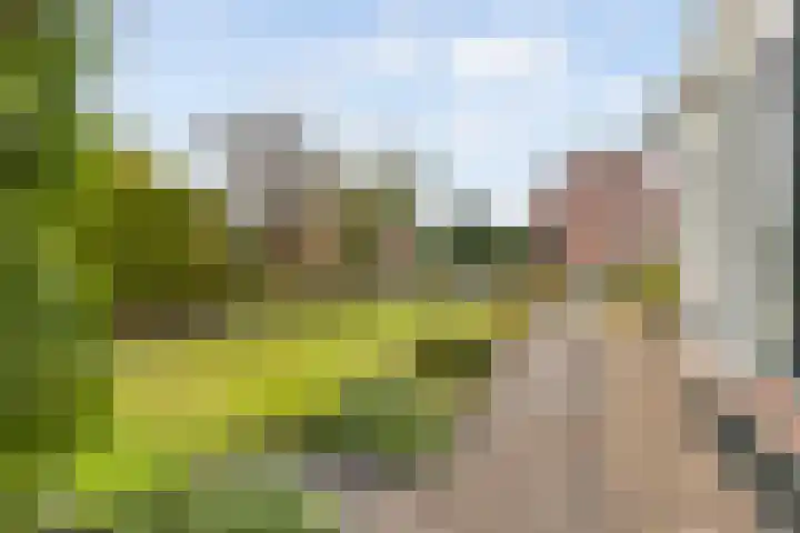 Kavelwei 22 Broeksterwâld thumbnail 7