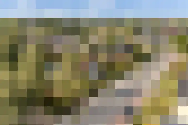 Kavelwei 22 Broeksterwâld thumbnail 70