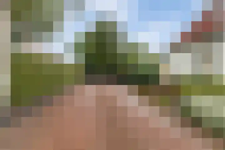 Kavelwei 22 Broeksterwâld thumbnail 8
