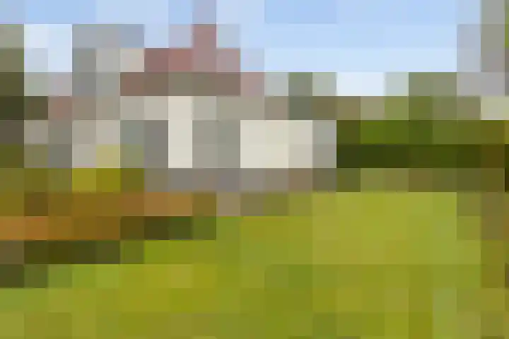 Kavelwei 22 Broeksterwâld thumbnail 9
