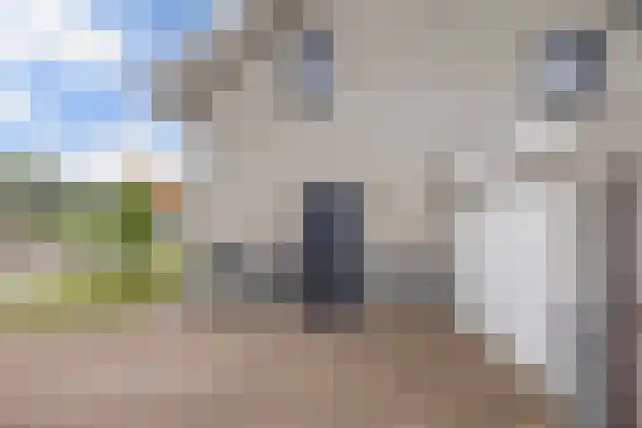 Kavelzoom 3 Marknesse thumbnail 11