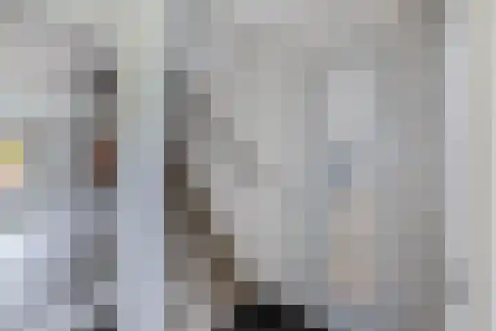 Kavelzoom 3 Marknesse thumbnail 13