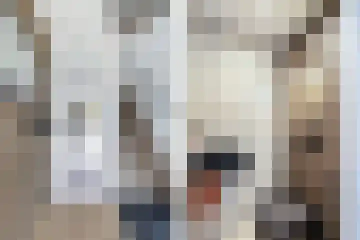 Kavelzoom 3 Marknesse thumbnail 14