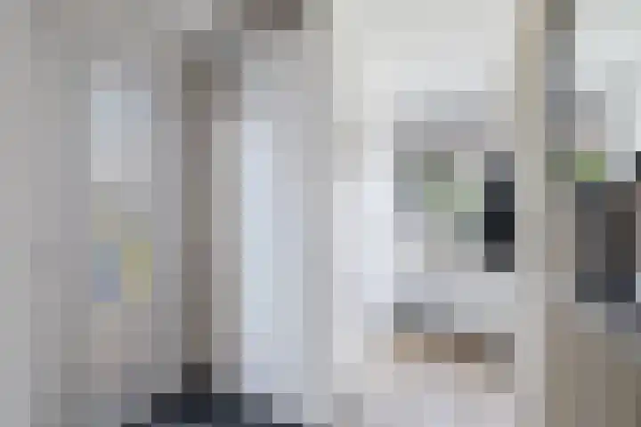 Kavelzoom 3 Marknesse thumbnail 15