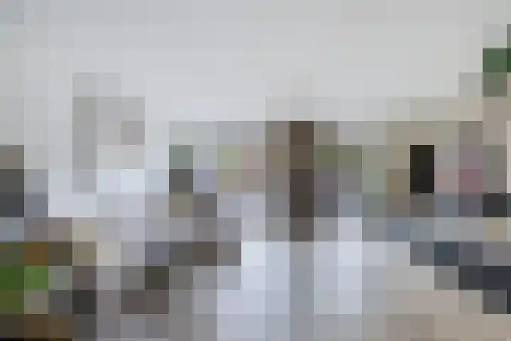 Kavelzoom 3 Marknesse thumbnail 16