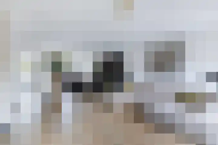 Kavelzoom 3 Marknesse thumbnail 18