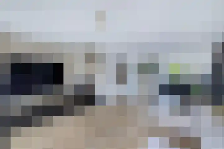 Kavelzoom 3 Marknesse thumbnail 19