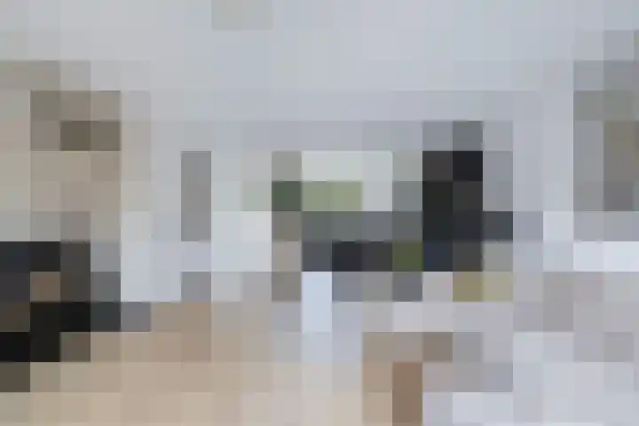 Kavelzoom 3 Marknesse thumbnail 20