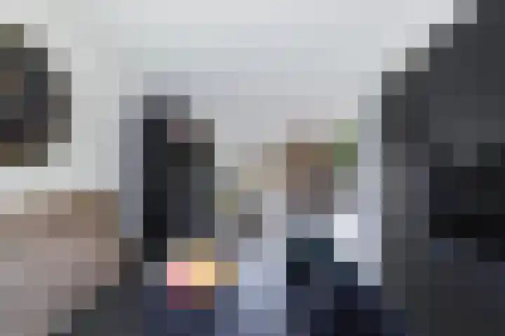 Kavelzoom 3 Marknesse thumbnail 24