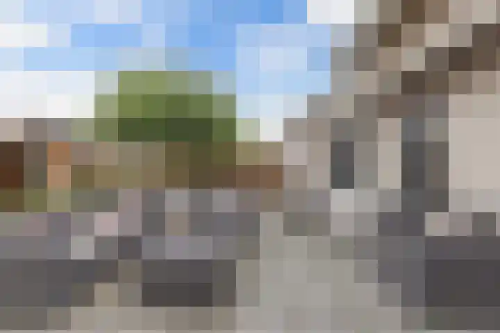 Kavelzoom 3 Marknesse thumbnail 26