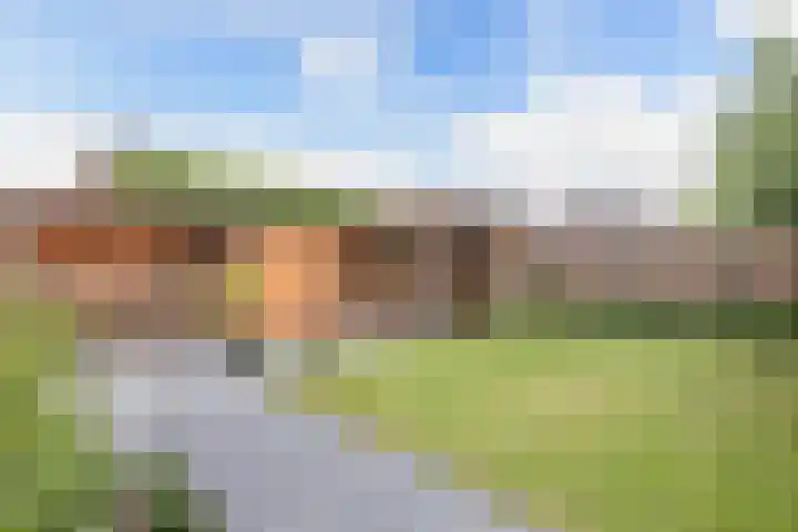 Kavelzoom 3 Marknesse thumbnail 28