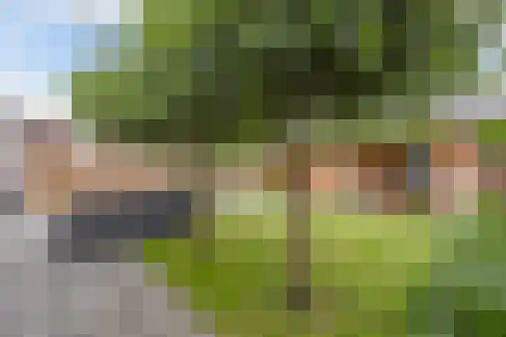Kavelzoom 3 Marknesse thumbnail 29