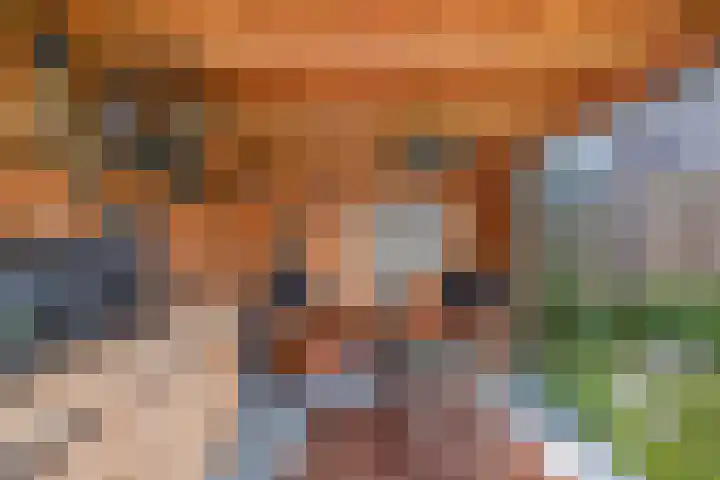 Kavelzoom 3 Marknesse thumbnail 31