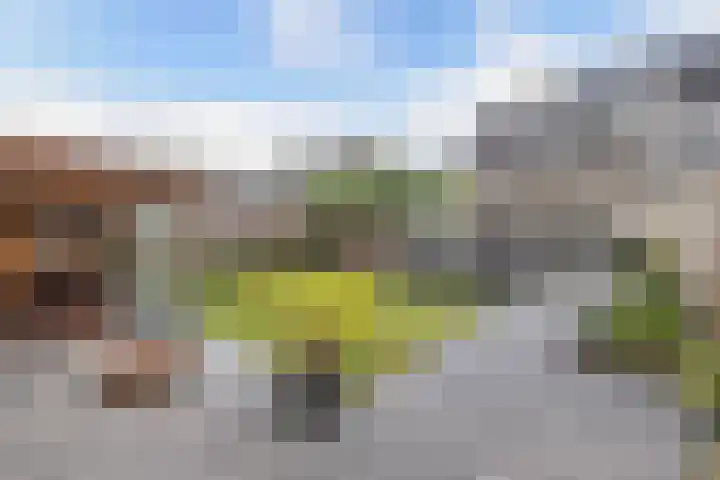 Kavelzoom 3 Marknesse thumbnail 34