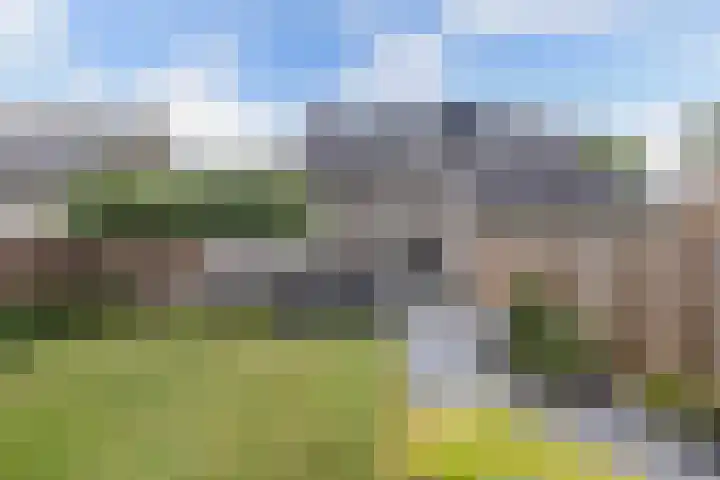 Kavelzoom 3 Marknesse thumbnail 35