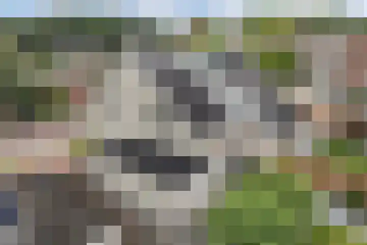 Kavelzoom 3 Marknesse thumbnail 36