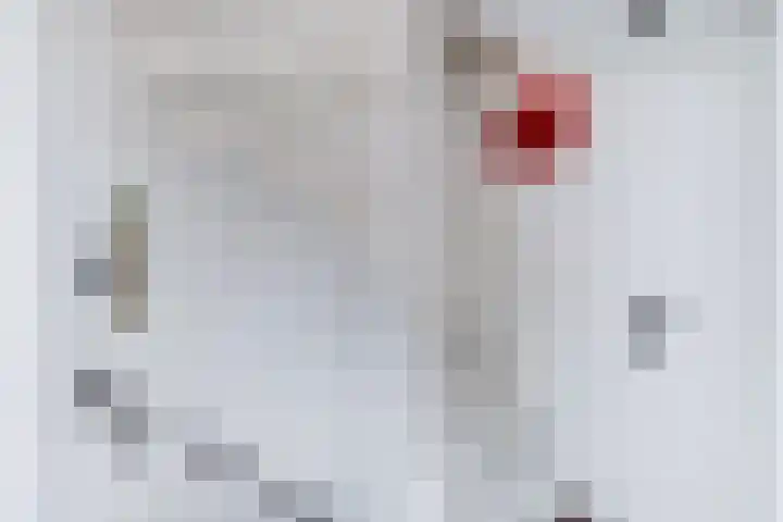Kavelzoom 3 Marknesse thumbnail 37