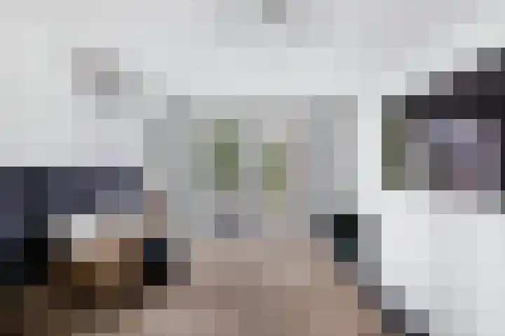 Kavelzoom 3 Marknesse thumbnail 38