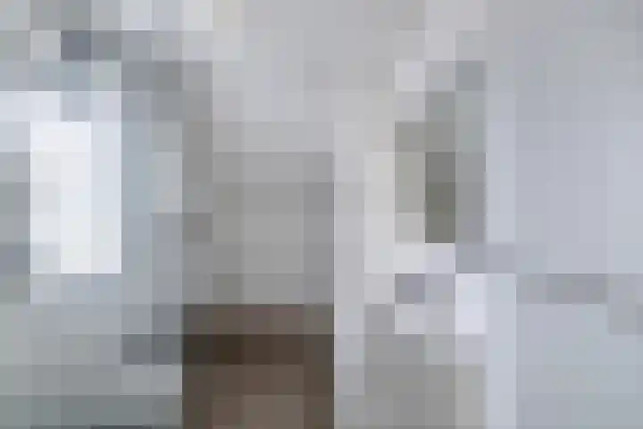 Kavelzoom 3 Marknesse thumbnail 4