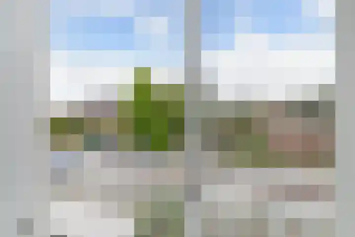 Kavelzoom 3 Marknesse thumbnail 41